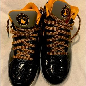 Kobe IV Pronto (Carpi Diem) shoes 100% real